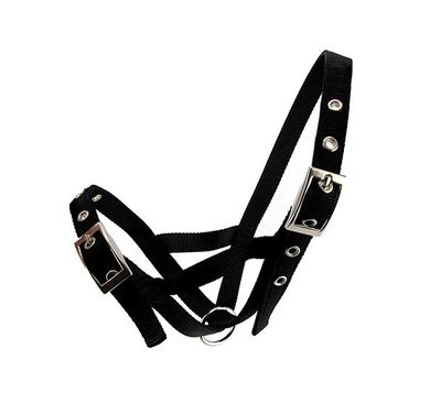 Webbing Calf Halter