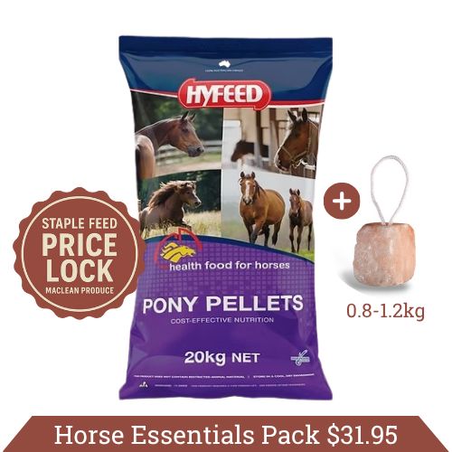 Horse Essentials Pack