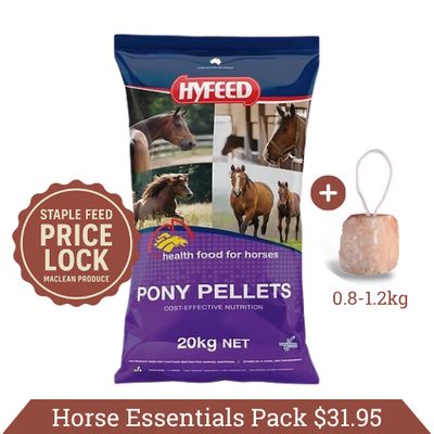 Horse Essentials Pack