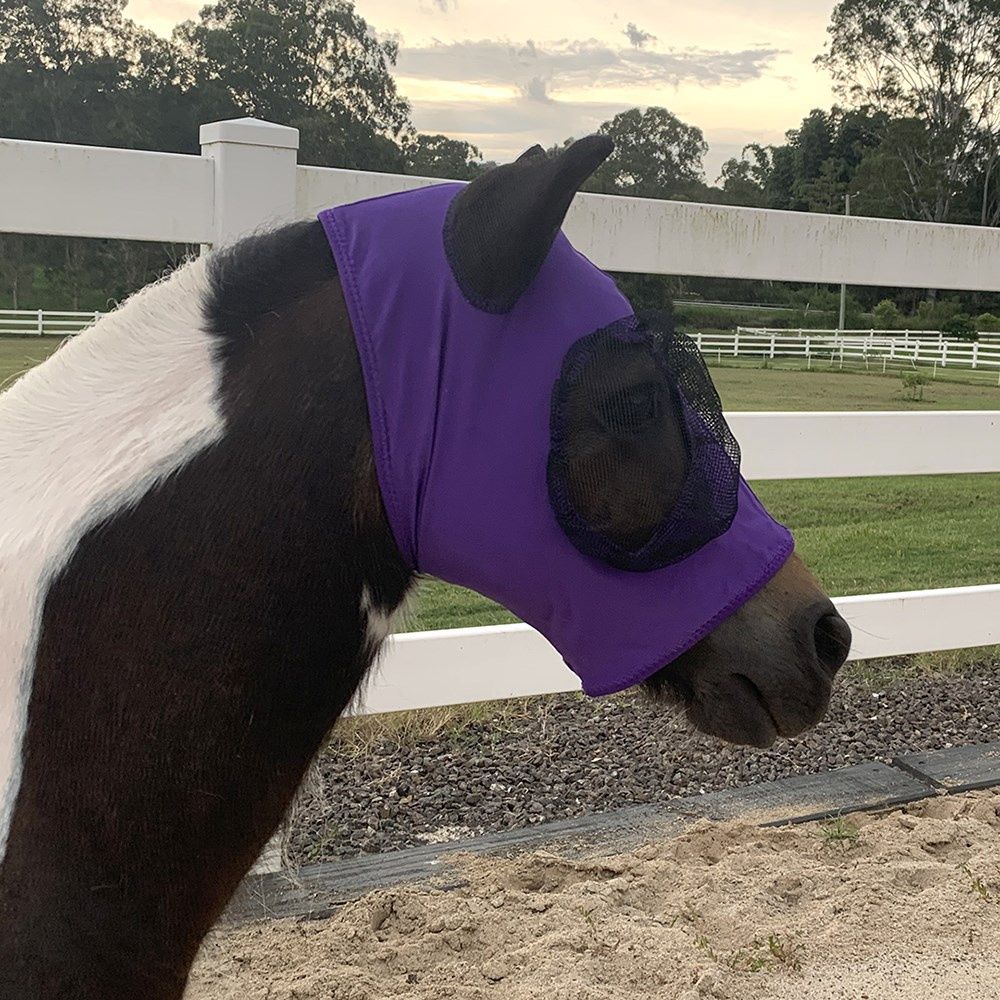 Piccolo Mini Lycra Pull-On Fly Mask, Colour: Purple