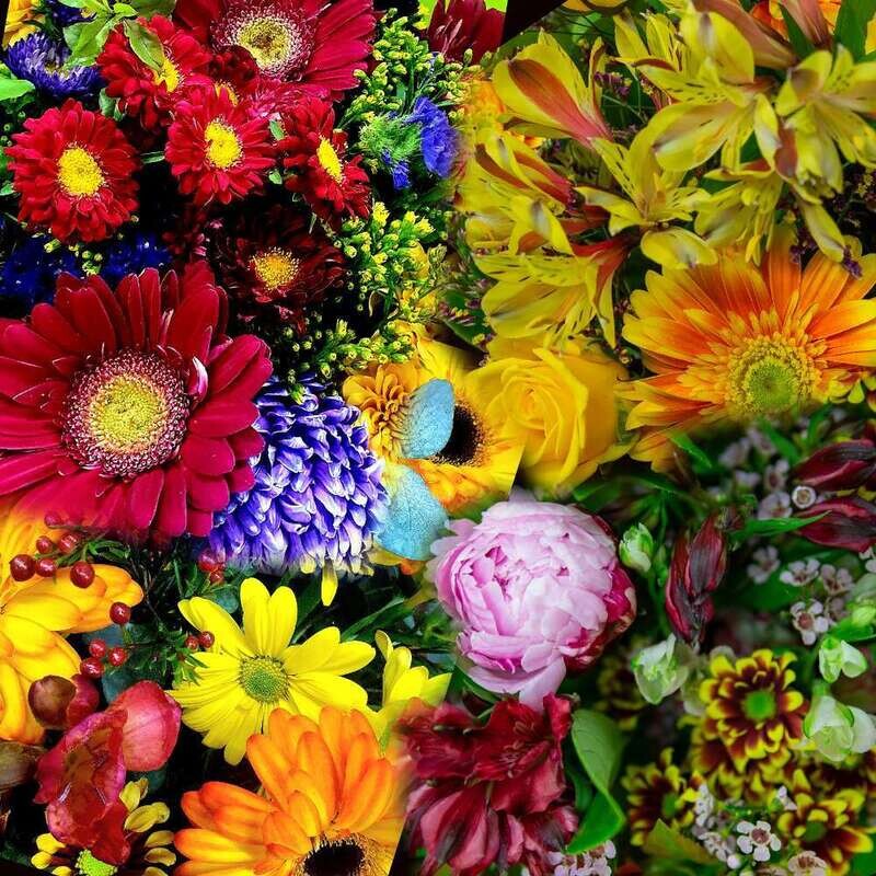 Mixed Blooms