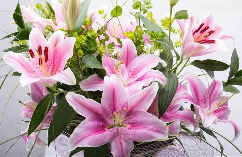 Valentine's Lily Bunch