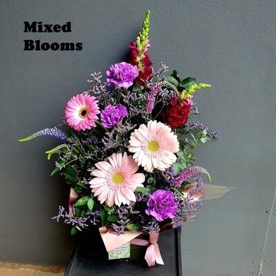 Valentine's Mixed Seasonal Blooms