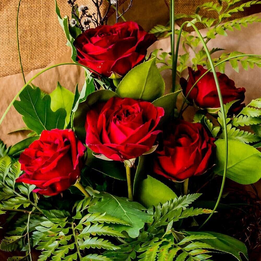 Valentine's Red Roses Valentine's Red Roses