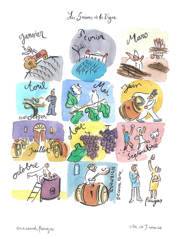 Bordeaux Wine Four Seasons