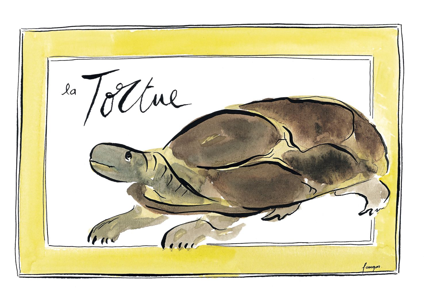 Animals Children's Bedroom Turtle