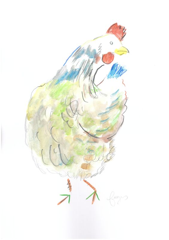 Animals Children's Bedroom Poule