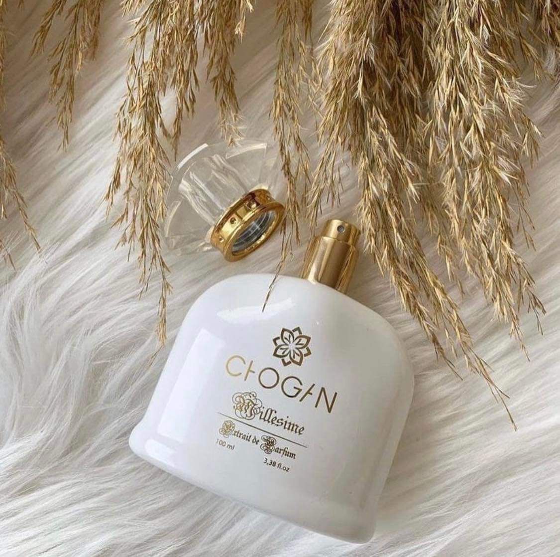 Parfum Chogan 006 - inspiré de Optium YSL