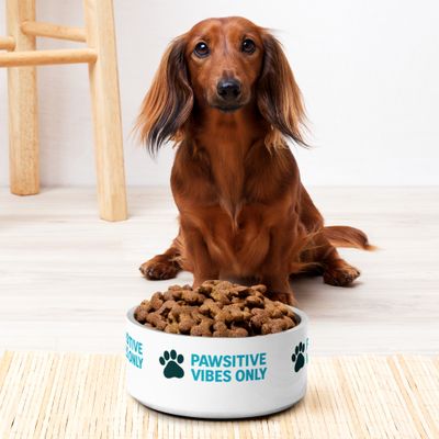 Pet Pawsitivity bowl
