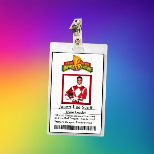 Mighty Morphing Power Rangers (11 Characters) Cosplay / Halloween Costume