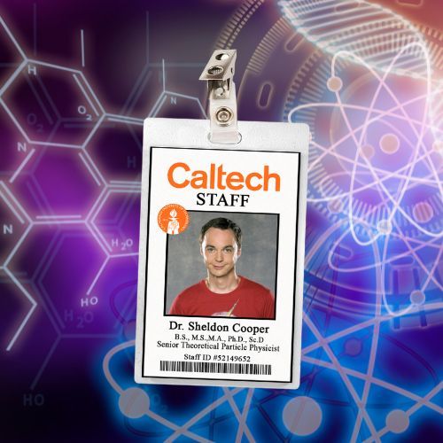 The Big Bang Theory (7 Characters) ID Badge Card Cosplay / Halloween Costume