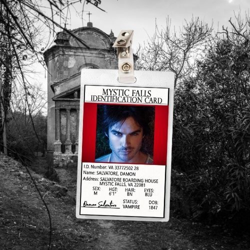 The Vampire Diaries Damon Salvatore ID Badge Card Cosplay / Halloween Costume (Regular &amp; Bloody Version)