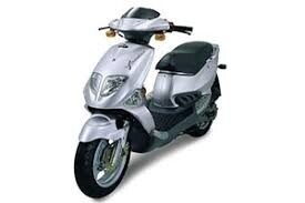 T-REX 50CC