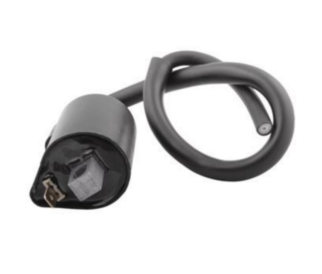 [USAGER]Ignition Coil Yamaha OEM