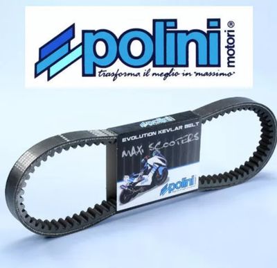 Courroie Renforcée Polini 248.078  ( Piaggio )