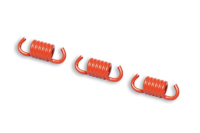 CLUTCH SPRING MALOSSI FLY RED