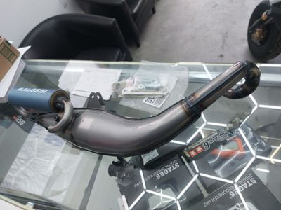 Exhaust malossi flip mina hori
