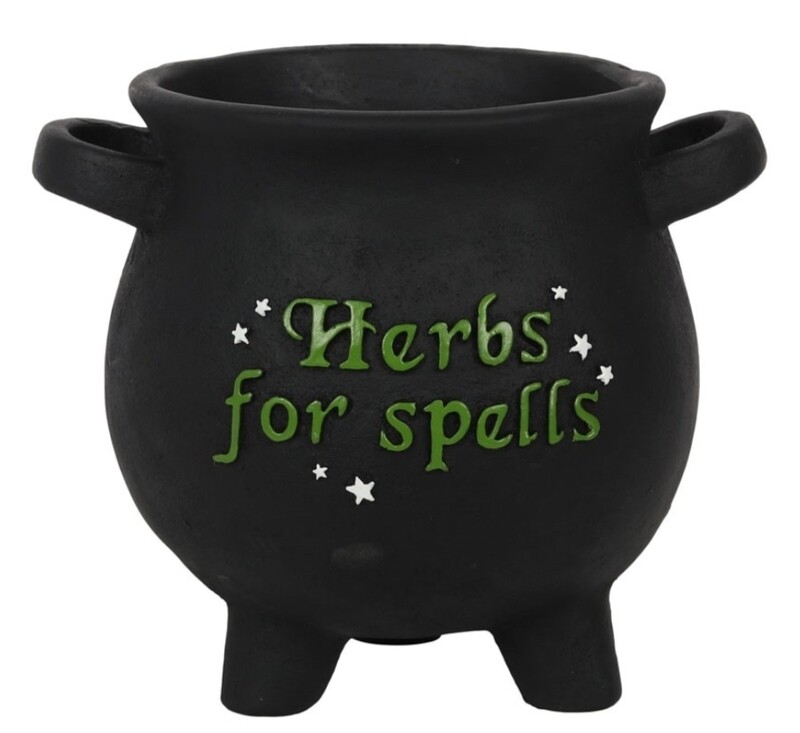 Large Herbs For Spells Cauldron Plant Pot