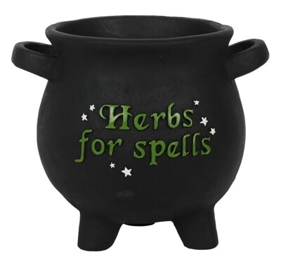 Large Herbs For Spells Cauldron Plant Pot