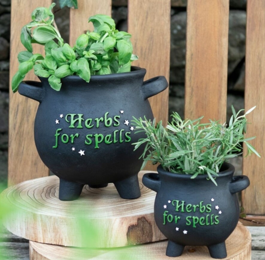 Large Herbs For Spells Cauldron Plant Pot