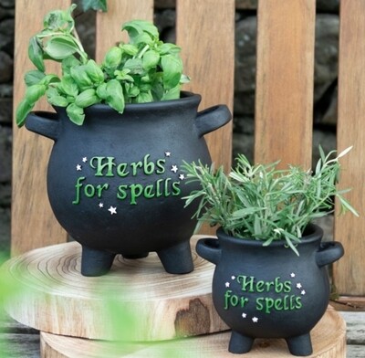 Large Herbs For Spells Cauldron Plant Pot