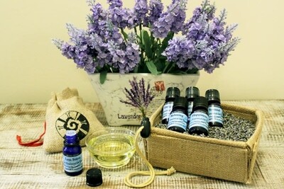 Essential Oil Blends - 10ml