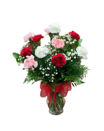 Carnations - One Dozen