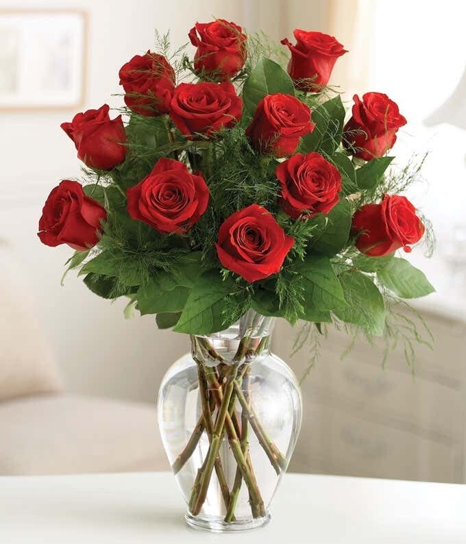 1 Dozen Long Stem Red Roses