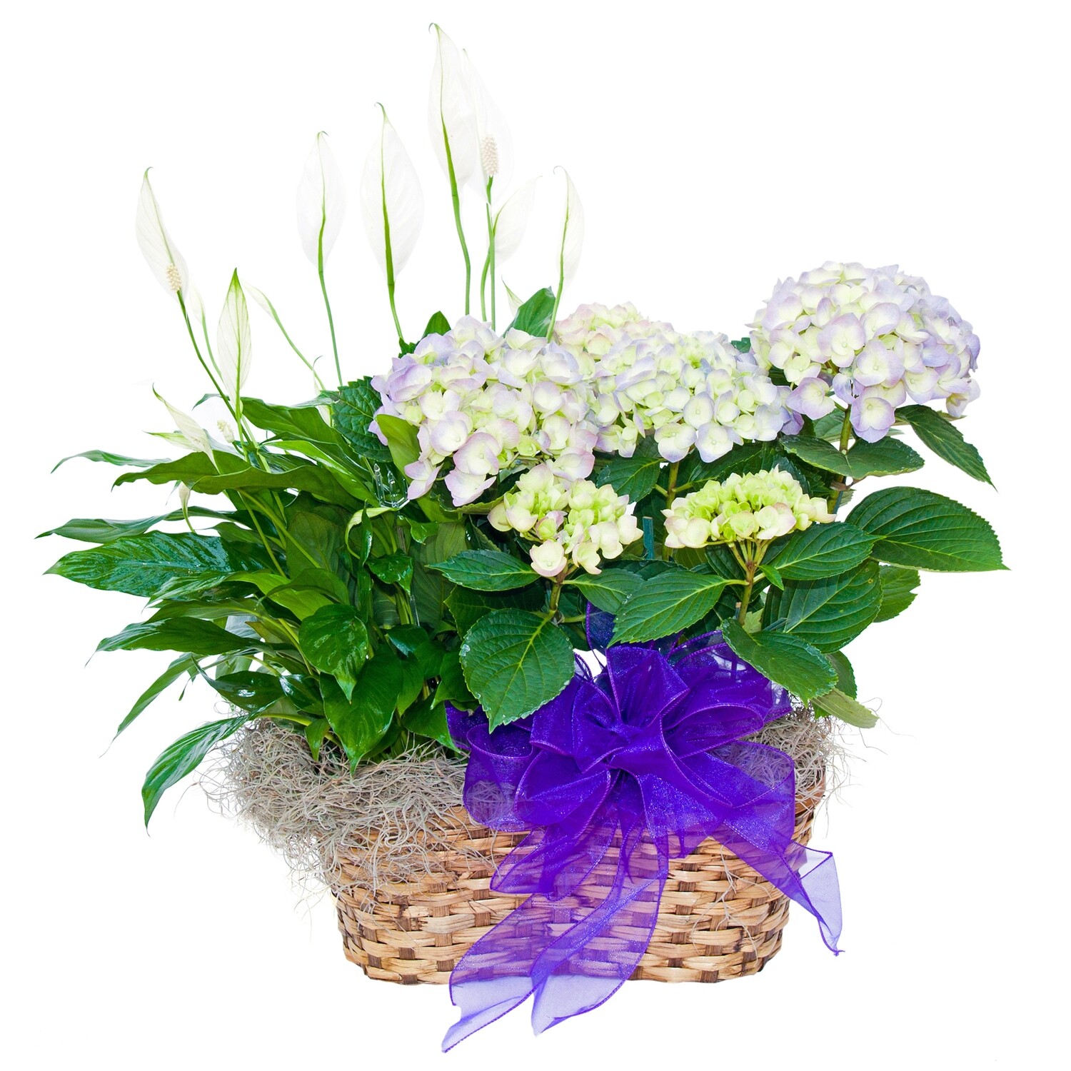 Blooming Basket
