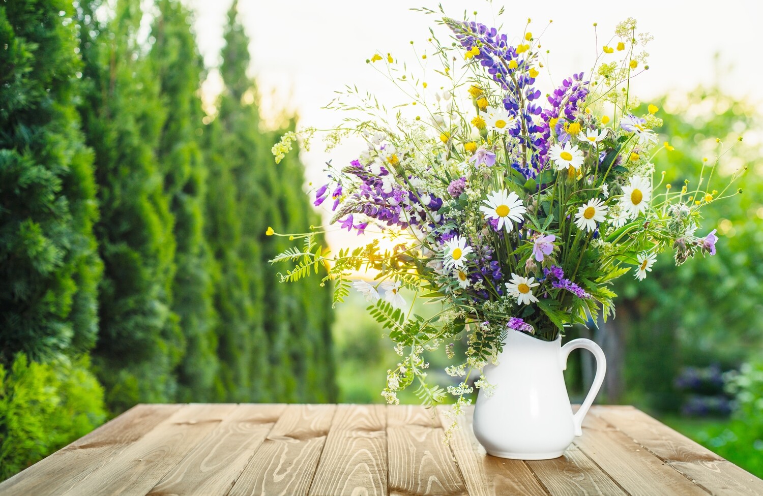 The Vintage Garden