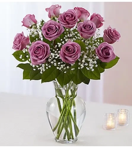 Purple Passion Roses