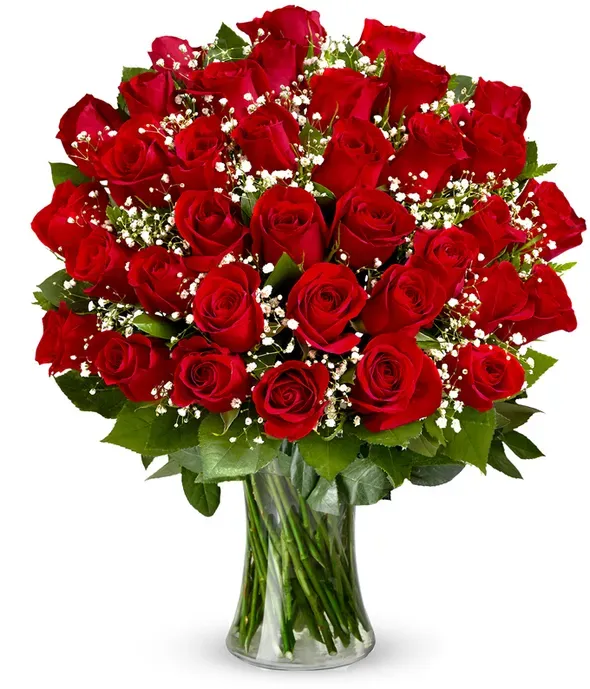3 Dozen Long Stem Red Roses