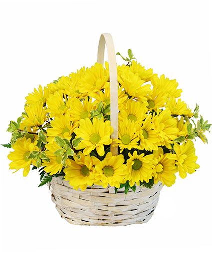 Basket of Daisies