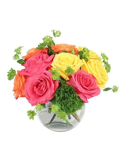 Vivid Sorbet