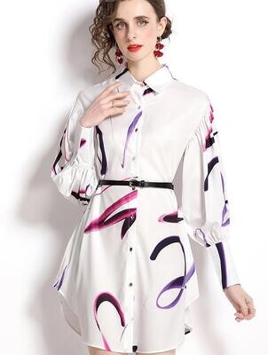 Women Shirt Dress Modern Design