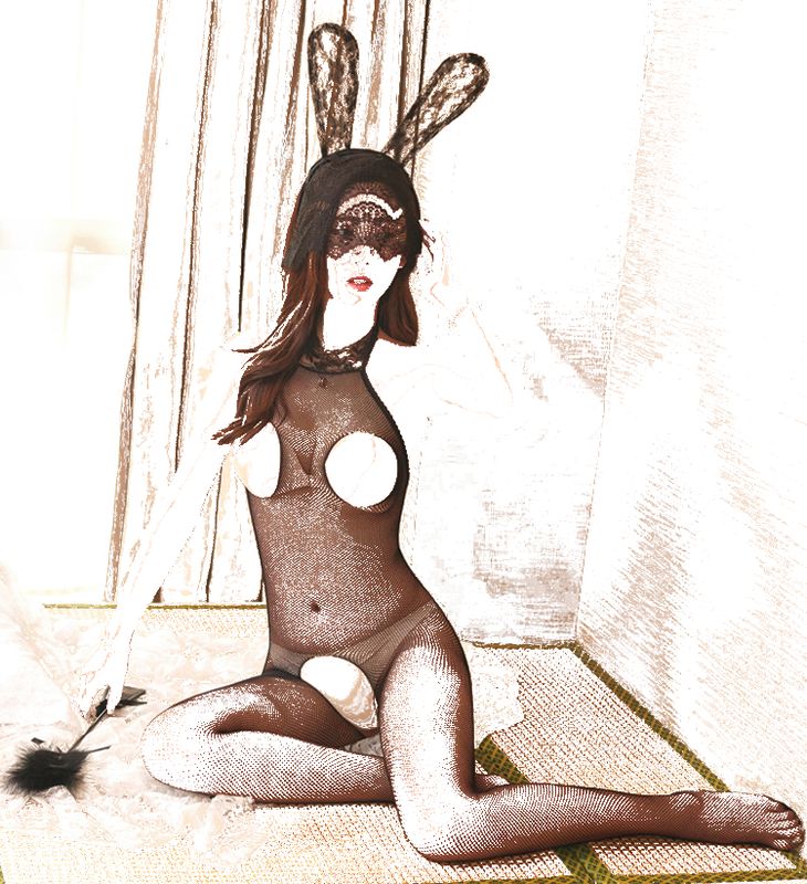 Erotic O Neck Full Body Stocking with Openings
