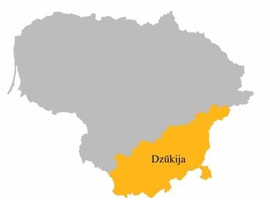 📍 Dzukija