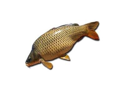 Karpinis