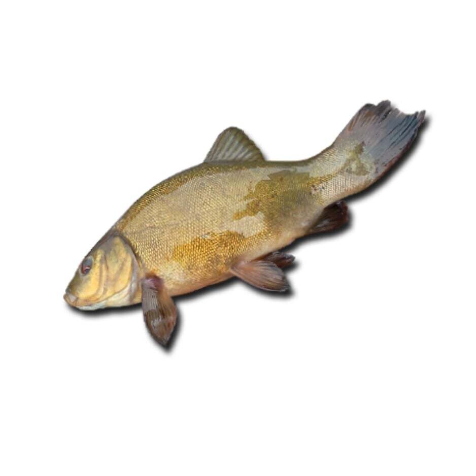 Lynas, 0,500/1,0Kg
