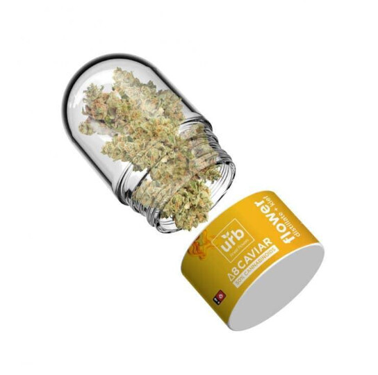 D8 (Orange Creamsicle) Caviar