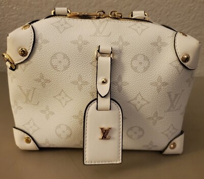 LV Mini White Bag