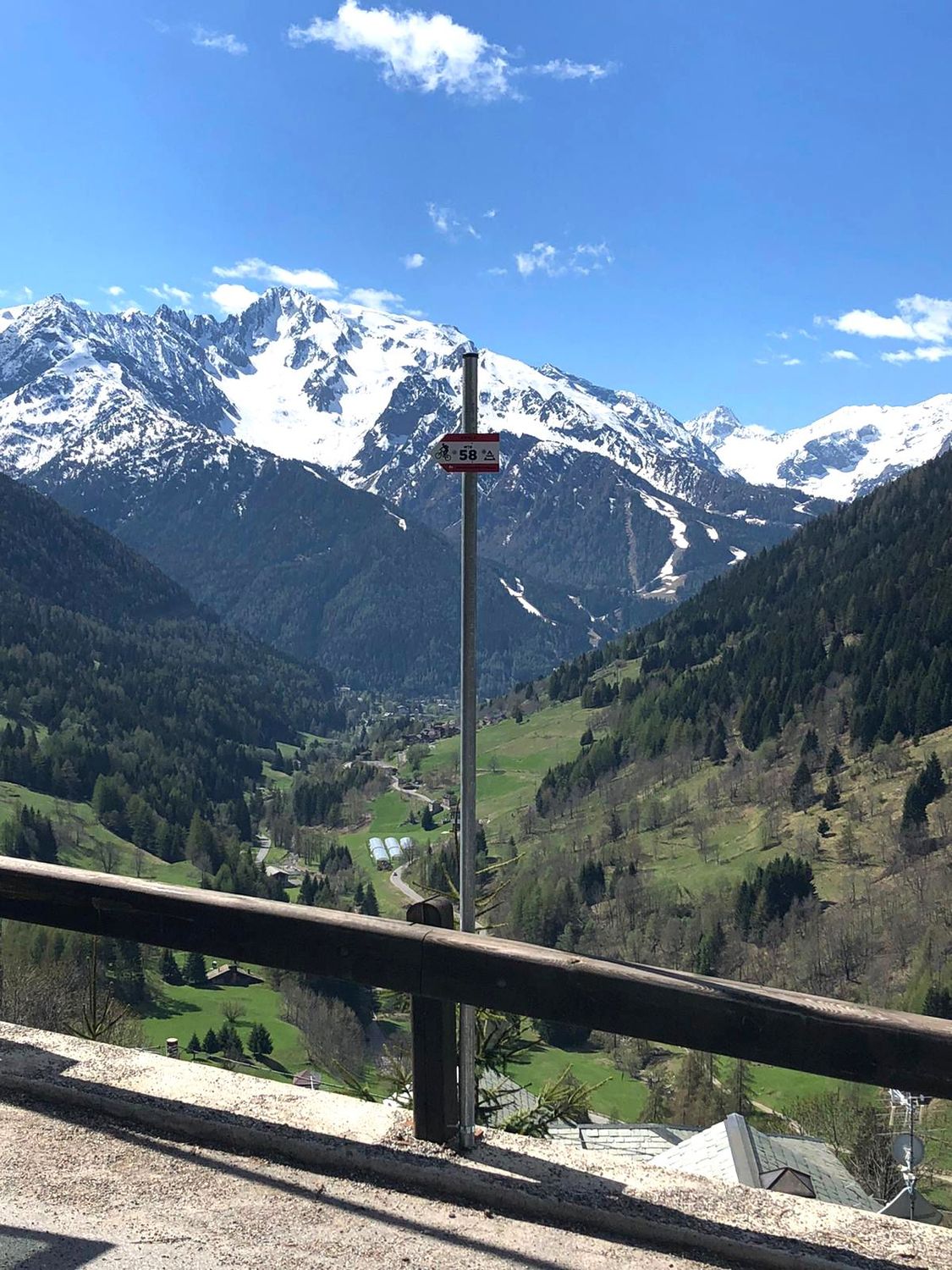 PALO IN FERRO