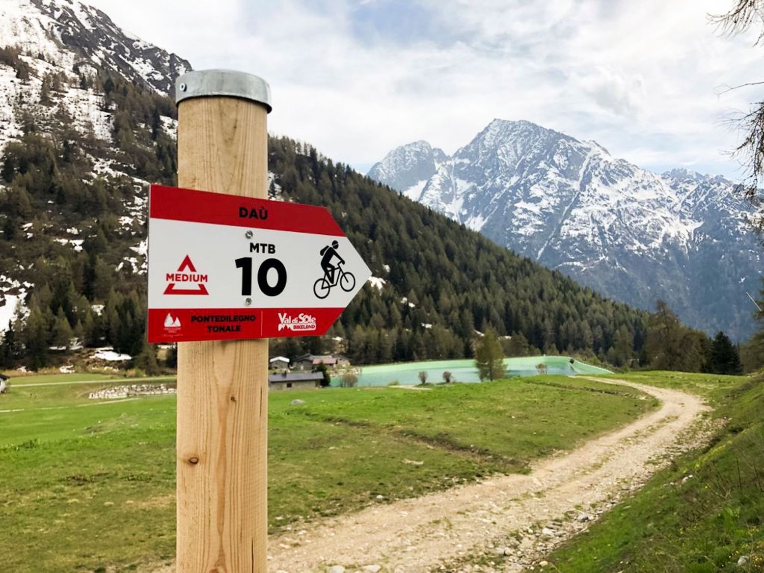PALO IN LEGNO