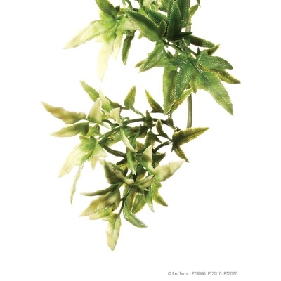 Exo Terra Jungle Plant - Croton - Small