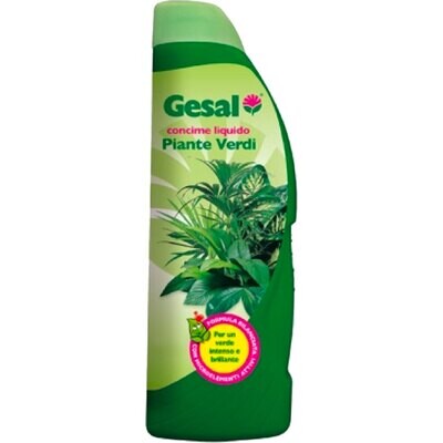 CONCIME LIQUIDO &#39;PIANTE VERDI&#39; 750 ml