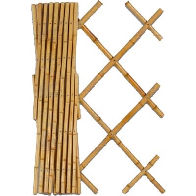 TRALICCIO BAMBOO