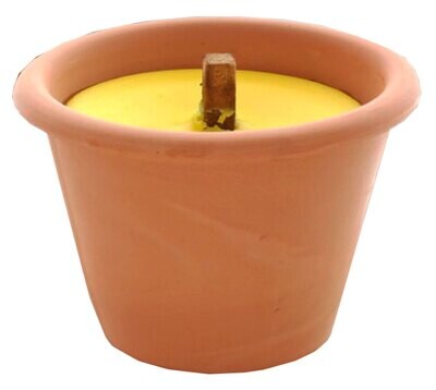 FIACCOLA ALLA CITRONELLA  cm 11x10h