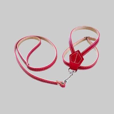 PARURE PER CANI 10x400 mm