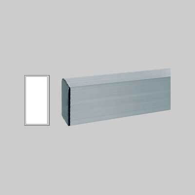 STADIA PER EDILIZIA 100x25 2 mt