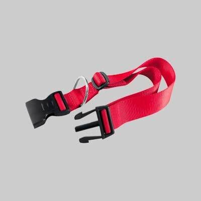 COLLARE PER CANI &#39;CLUB C&#39; 10 mm x 23 - 32 cm